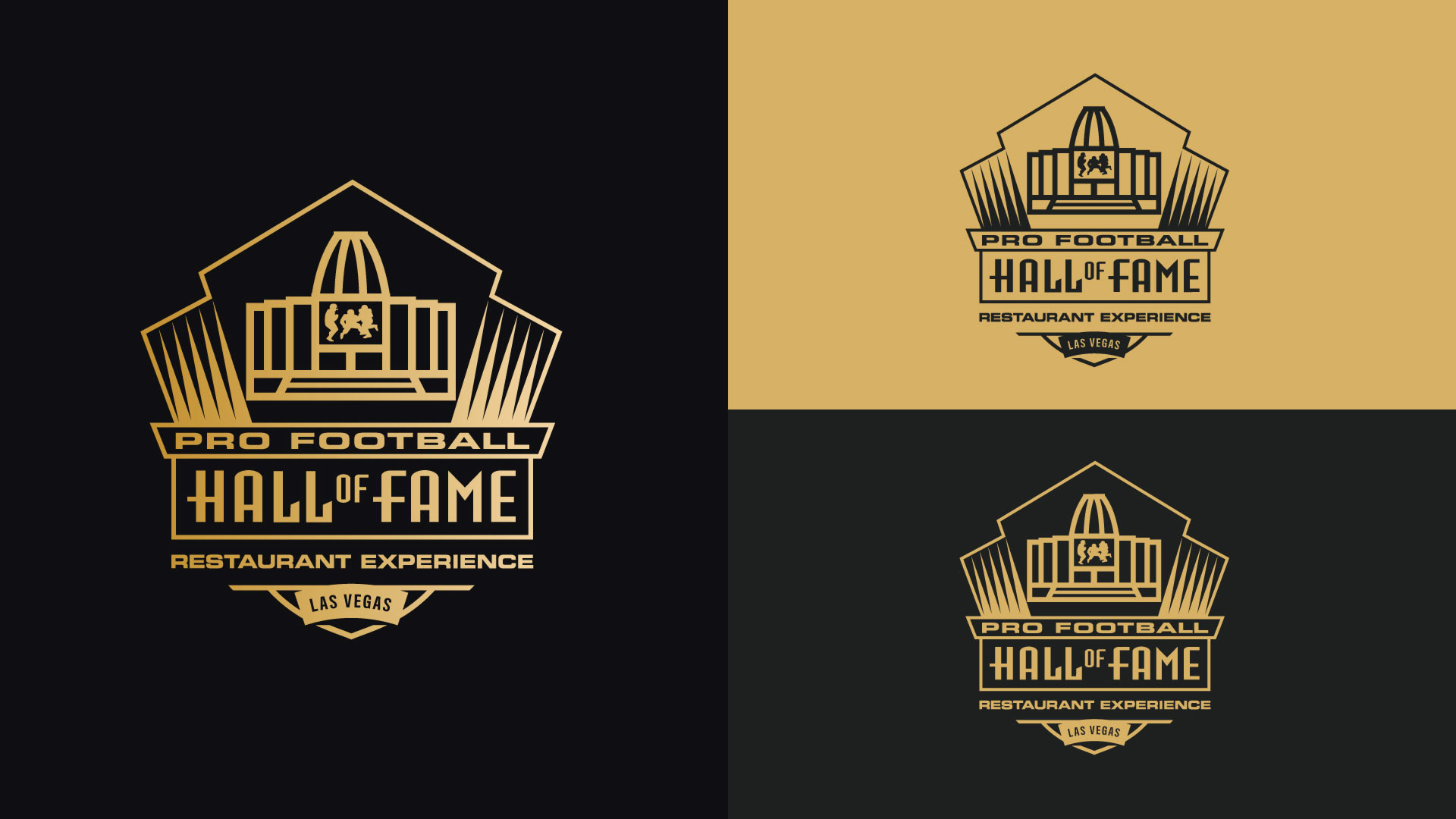 Pro Football Hall Of Fame Logo